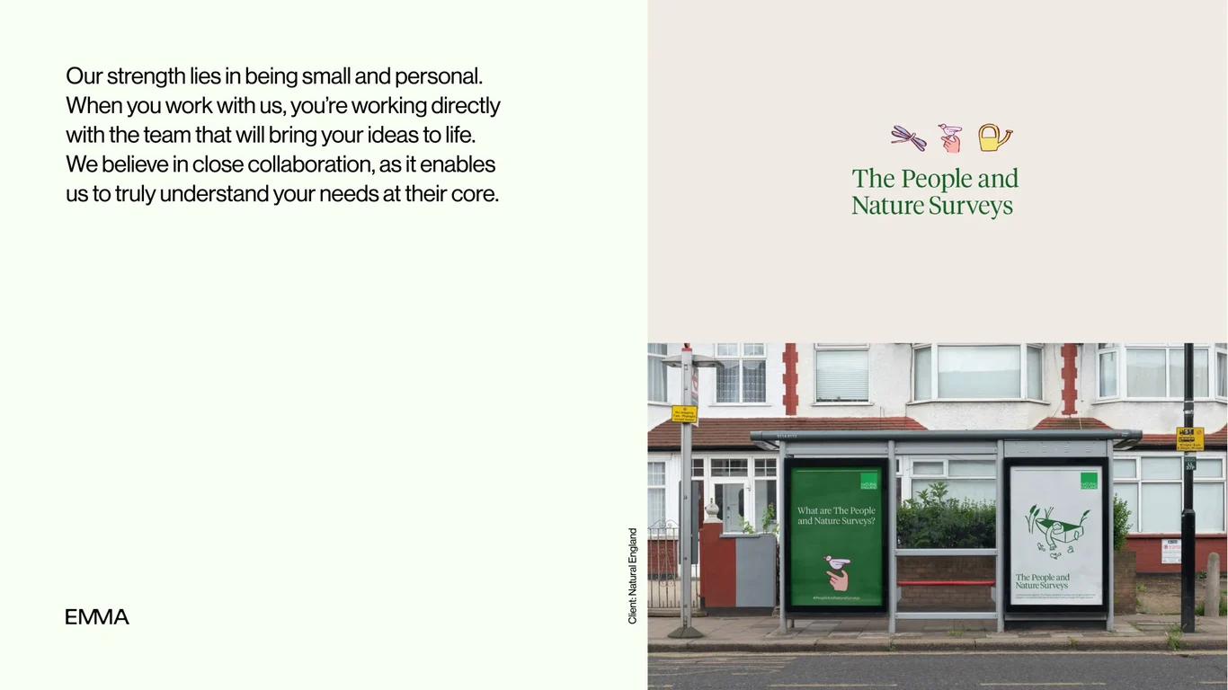 Nature Surveys visual identity system