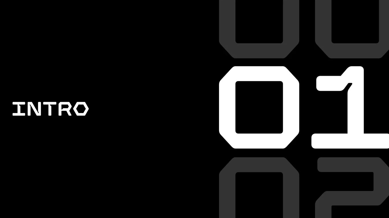 Section divider marking the beginning of the brand introduction