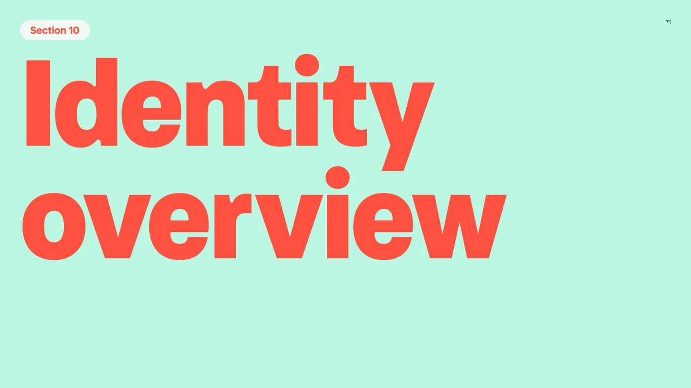 Identity overview section summarizes complete brand system, key elements
