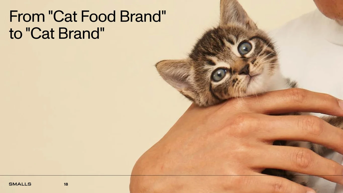 Adjacent market opportunity: accessories, treats, services