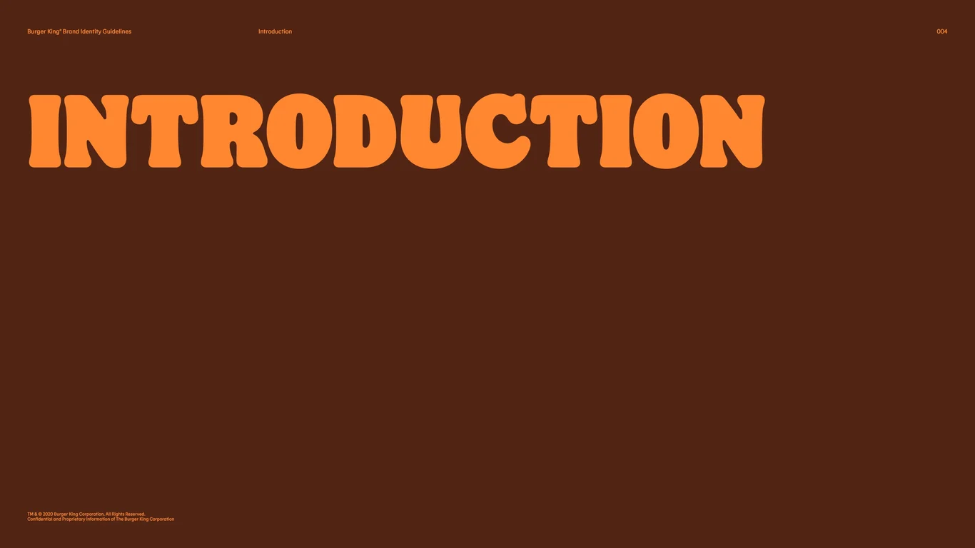 Section overview introducing the brand identity guide as a practical