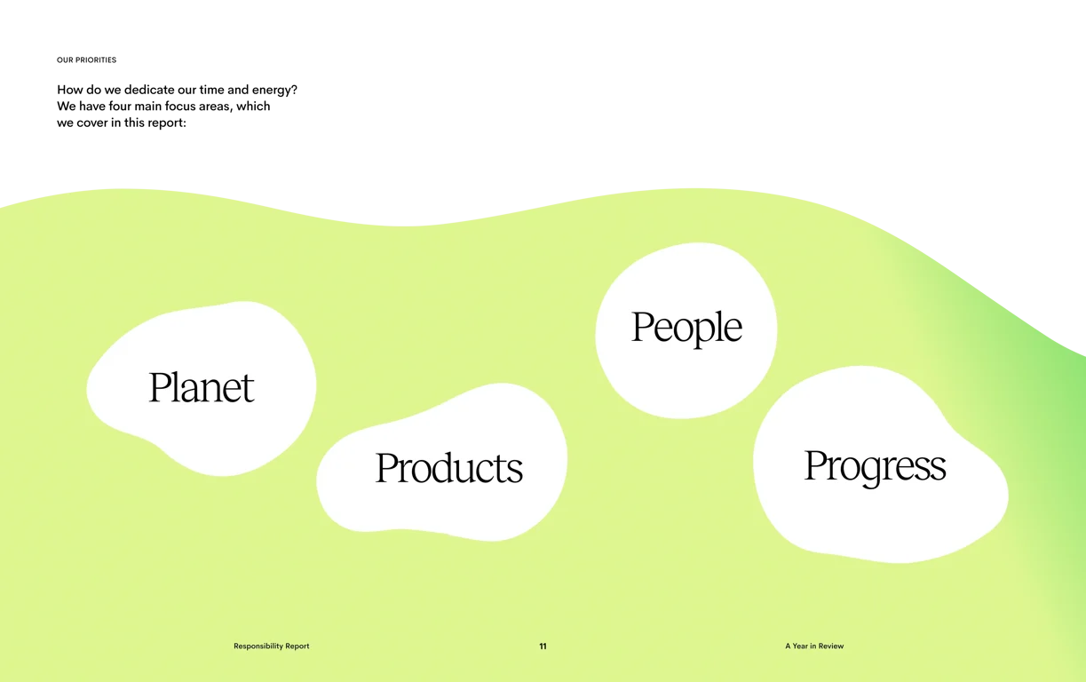 Four focus areas — priorities