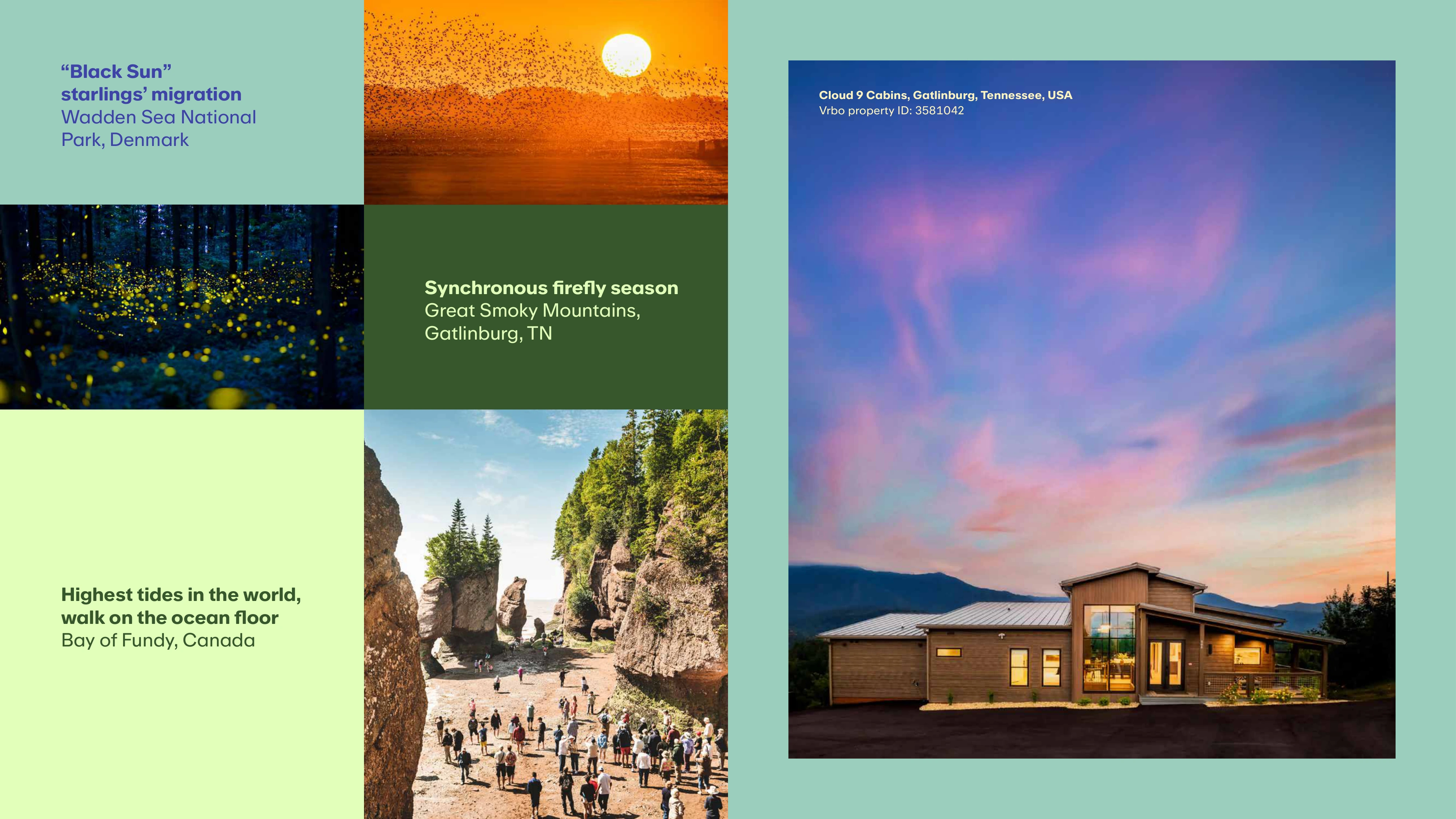 Volcanic Landscapes and Aurora Borealis