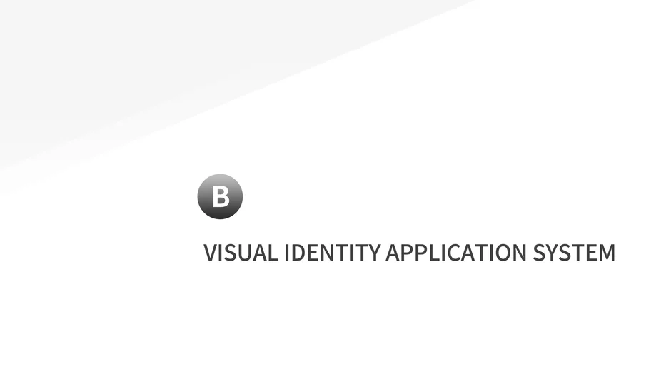 Visual Identity Application System