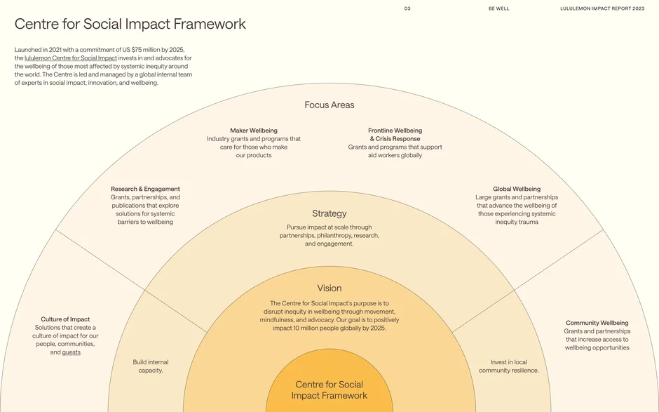 Centre for Social Impact framework and focus areas