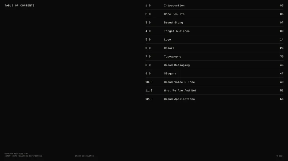 Sequential outline of the brand guidelines' sections including Introduction, Core