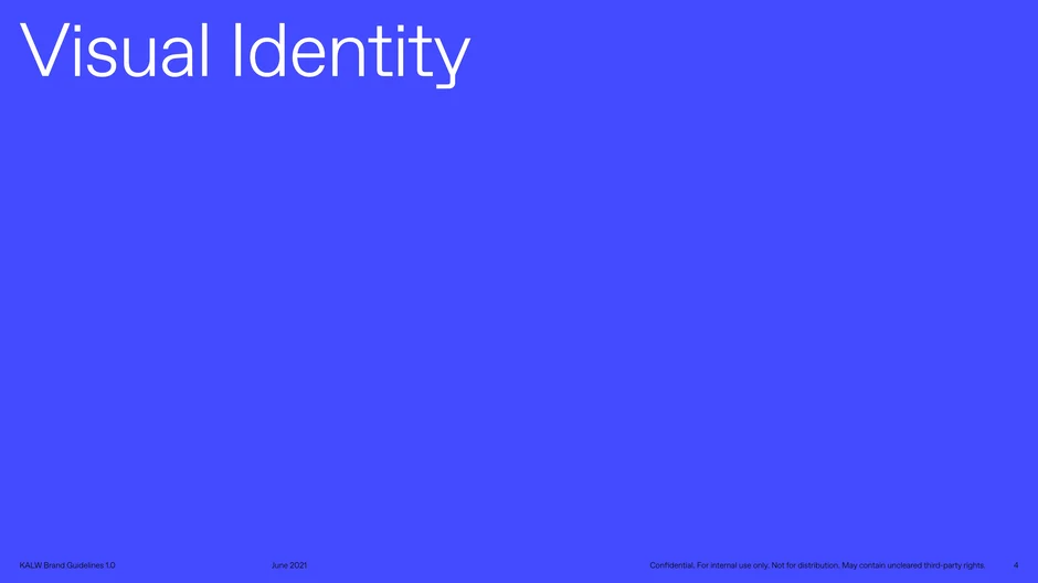 Marks the start of the visual identity section, which defines