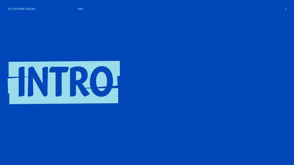 Section opener that introduces the brand guidelines and signals